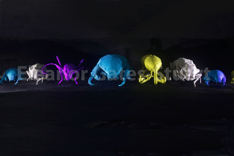 Titanium Insects by Eleanor Gates-Stuart in collaboration with Chuong Nguyen & Sherry Mayo, CSIRO