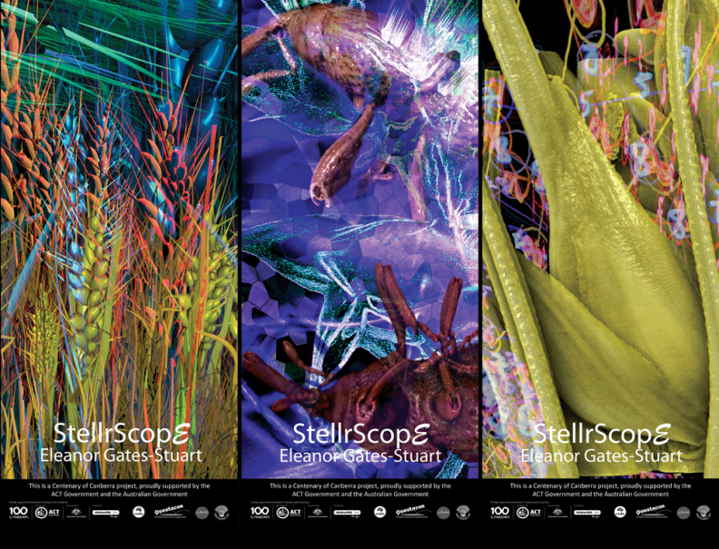 StellrScope Exhibition Banners: ‘Oasis’, ‘Weevil’, & ‘WheatEar’ by Eleanor Gates-Stuart