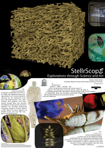 StellrScope Poster at the Australian Science Communicators Conference 2014