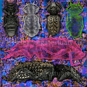 Spectacular Weevil" by Eleanor Gates-Stuart