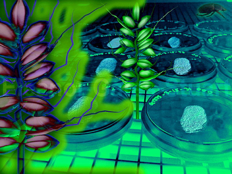 Discovery by Eleanor Gates-Stuart