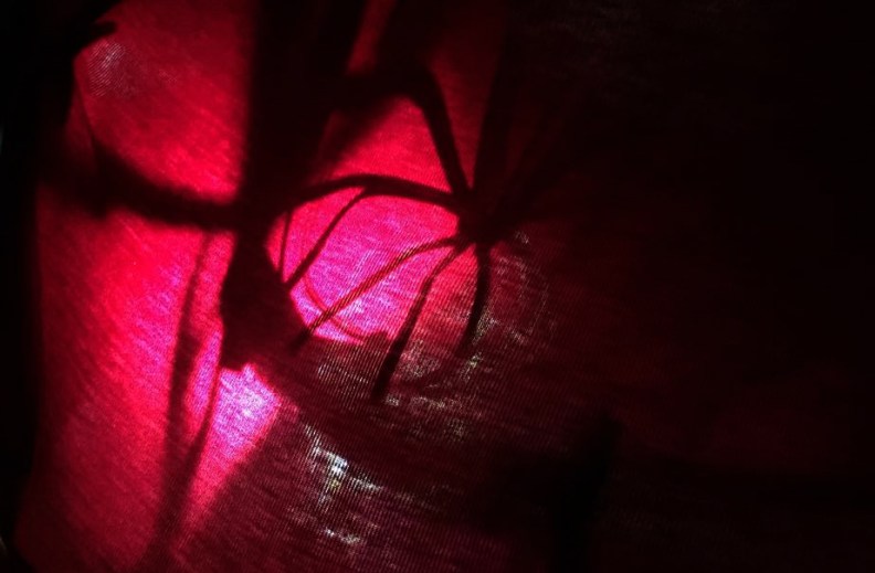 Under Cover - Lantern Experiment @ Techno Arts