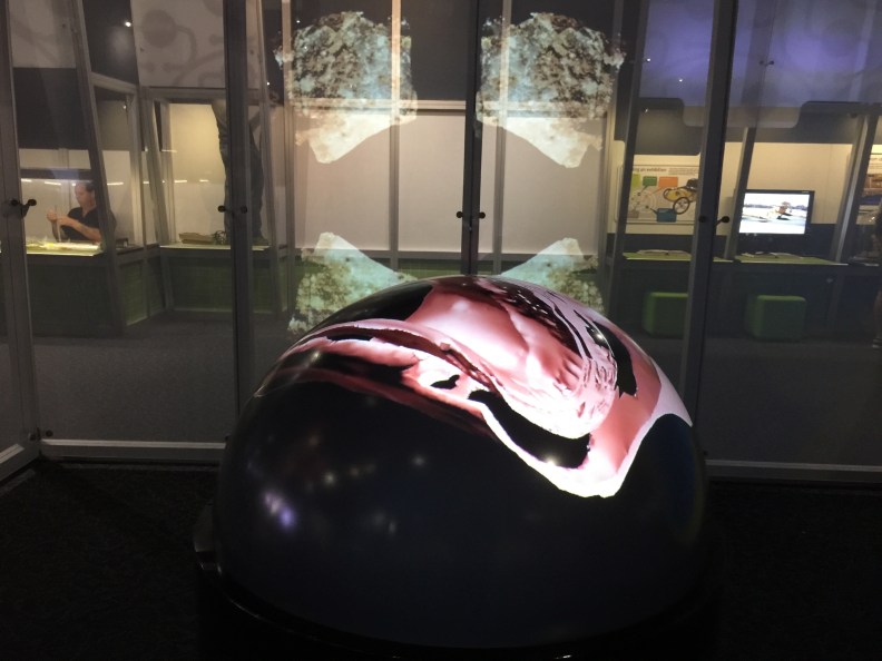 'Under the Surface' by Artist, Dr Eleanor Gates-Stuart, Scitech's Artist in Residence 2016 @ Rio Tinto Innovation Central