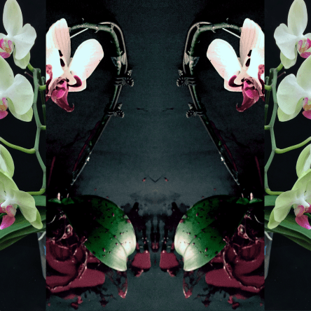 Sweet Hearts - the perfect match (DNA) by Dr Eleanor Gates-Stuart