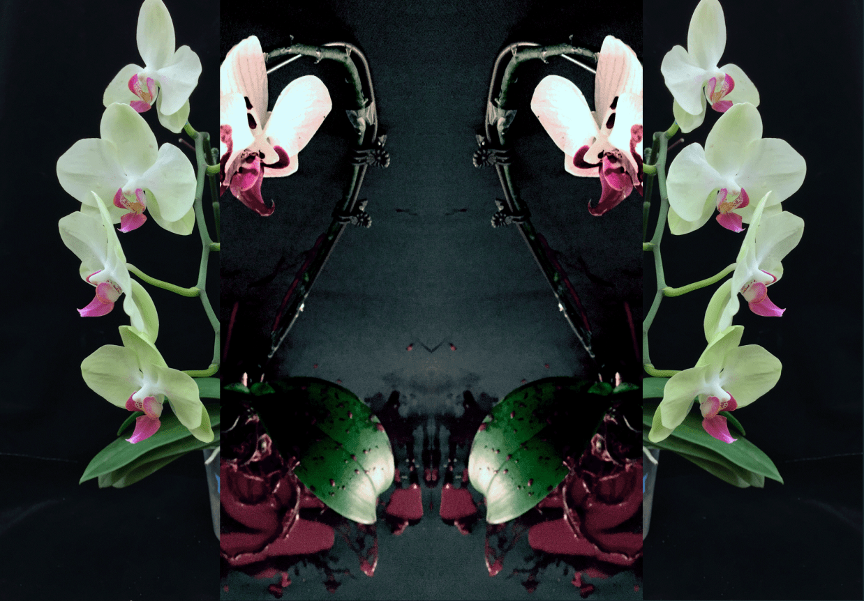 Sweet Hearts - the perfect match (DNA) by Dr Eleanor Gates-Stuart