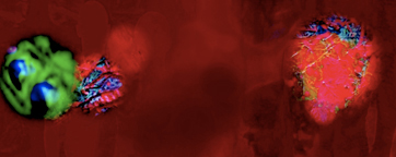 Video Image: 'Virus' by Eleanor Gates-Stuar