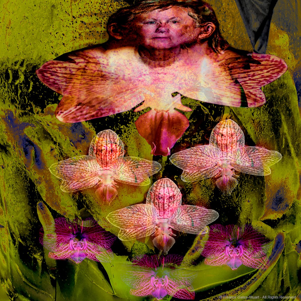 Hybrid digital composition of orchids and human forms, with patterned flowers emerging around a central figure.