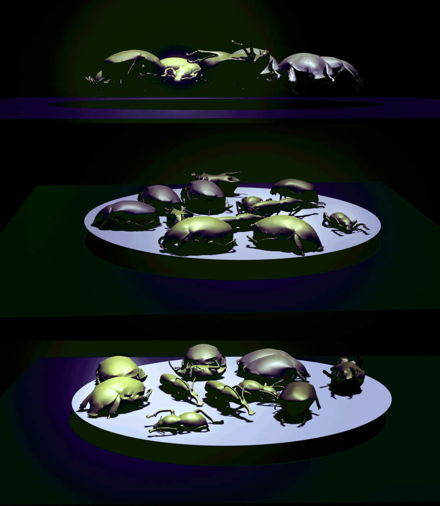 Cultivating the model insects