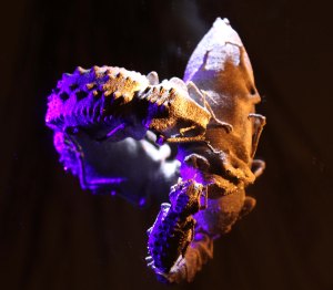 3D Printed Titanium Insects