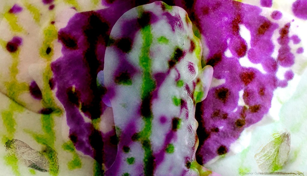 Digital artwork in vivid magenta, violet, green and yellow, with a human figure partially camouflaged within layered botanical and patterned forms.