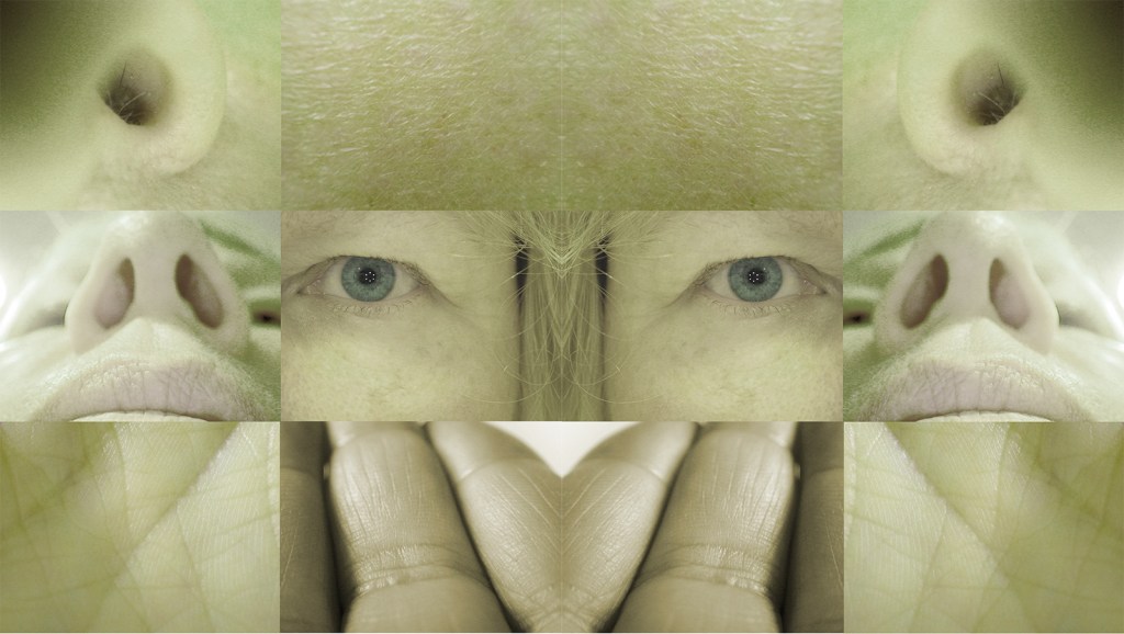 Mirrored photographic study of human skin, eyes, nose, navel, palms and fingers, arranged as a grid of close-up details.