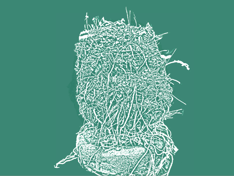 Growth Change by Dr Eleanor Gates-Stuart