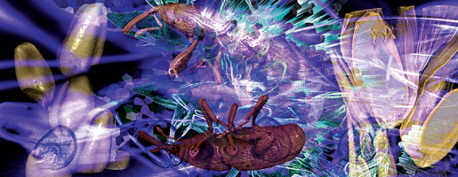 'In the Mix' by Dr Eleanor Gates-Stuart. Part of the StellrScope Series in the ACT Government Legislative Assembly Collection. 