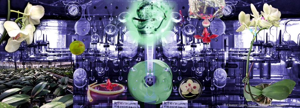 Layered digital artwork combining a hybrid human figure, orchids, laboratory vessels, plant forms and scientific imagery within a densely constructed environment.