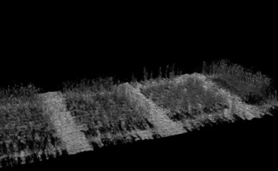Image: Wheat Field - ‘Ardrop’ sensor technology collected by Jose jimemez-Berni