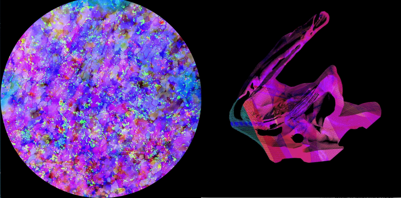 Circular multicoloured microscopic-style image beside a sculptural pink and purple digital form against black.