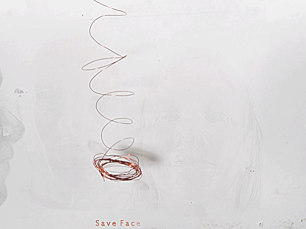 Save Face