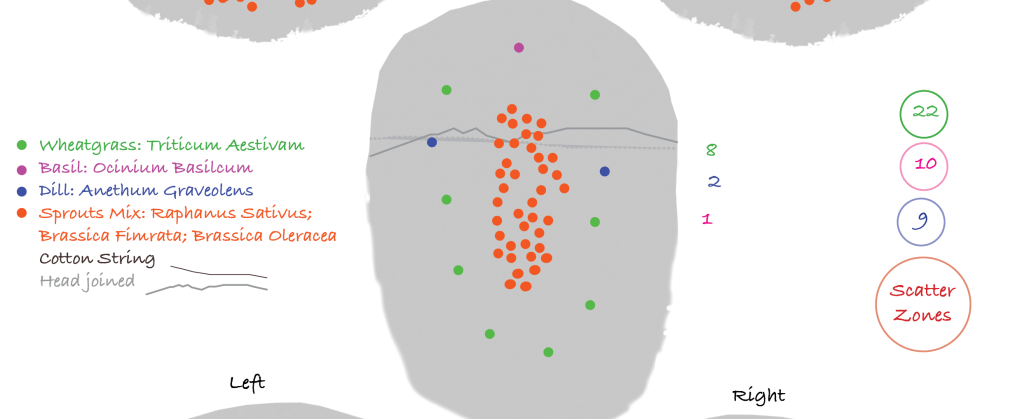 'Scatter Zones' - Mapping growth, Professor Eleanor Gates-Stuart