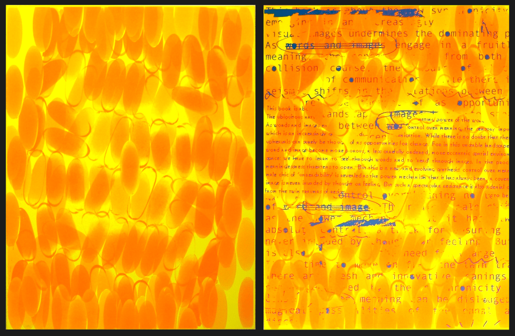 Two sided artwork, sptscaps and txtcaps. Matisse Derrian water based ink printed on Magnani Pescia 100% cotton paper. 56 cm x 76 cm. Part of the documentary silkscreen print series, arcv.pls.txt.scrb.spc.spt.vs.eleanor.gates-stuart, were produced by Eleanor Gates-Stuart in 2004, through the Printmaker in Residency Program at Megalo Print Workshop, Canberra, Australia. ©  2004 Eleanor Gates-Stuart Note: This work documents research by gatescherrywolmark with permission of the original members of the partnership: Eleanor Gates-Stuart, Jean Cherry and Jenny Wolmark. ISBN 0 7315 3039 X