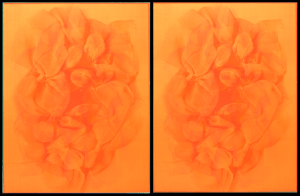 Two sided artwork, vsorange and vsorange. Matisse Derrian water based ink printed on Magnani Pescia 100% cotton paper. 56 cm x 76 cm. Part of the documentary silkscreen print series, arcv.pls.txt.scrb.spc.spt.vs.eleanor.gates-stuart, were produced by Eleanor Gates-Stuart in 2004, through the Printmaker in Residency Program at Megalo Print Workshop, Canberra, Australia. ©  2004 Eleanor Gates-Stuart Note: This work documents research by gatescherrywolmark with permission of the original members of the partnership: Eleanor Gates-Stuart, Jean Cherry and Jenny Wolmark. ISBN 0 7315 3039 X
